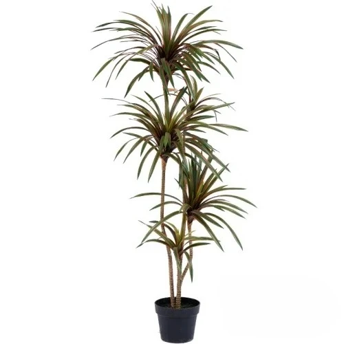 Dracaena Marginata - Simulierter bunter Pferdeschwanzbaum, Dracaena marginata, künstliche