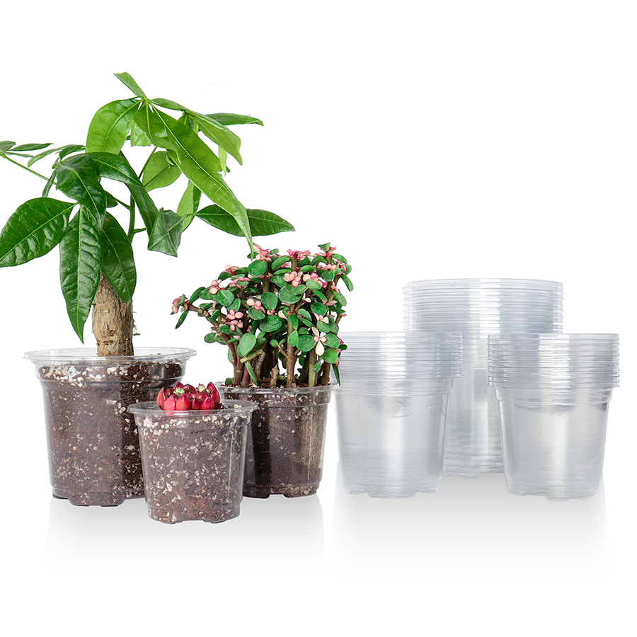 Aloe Vera Pot - 30 Packungen 3,5/4/5 Zoll transparente Kindergartentöpfe,