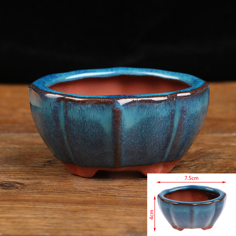1 stücke Bonsai Mini Keramik B – Echeveria Succulent Bewertung und Preis