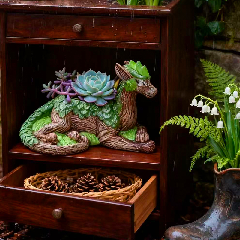 Kreativer Drachenbaum-Blumento – Echeveria Succulent Bewertung und Preis
