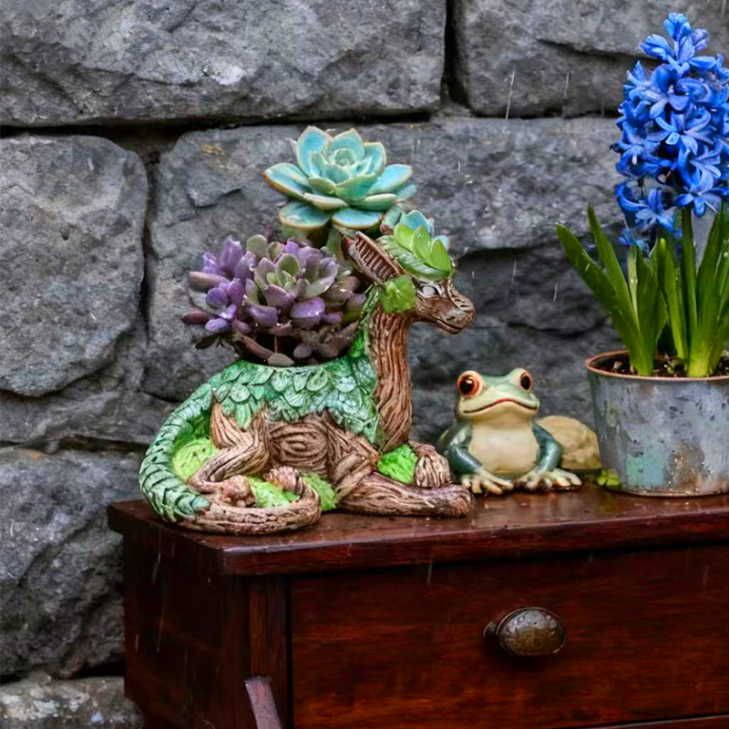Kreativer Drachenbaum-Blumento – Echeveria Succulent Bewertung und Preis
