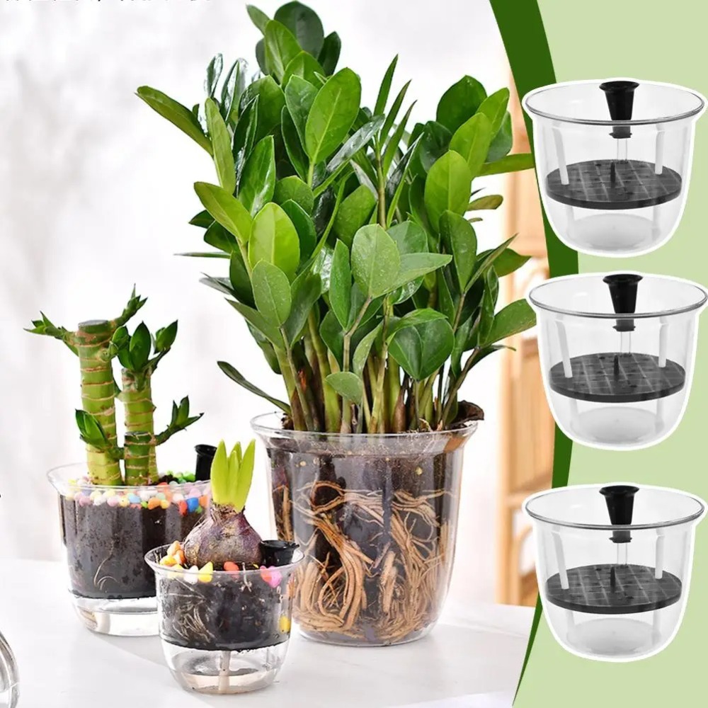 2 Stück selbstbewässernde Töpf – Aloe Vera Pot Bewertung und Preis