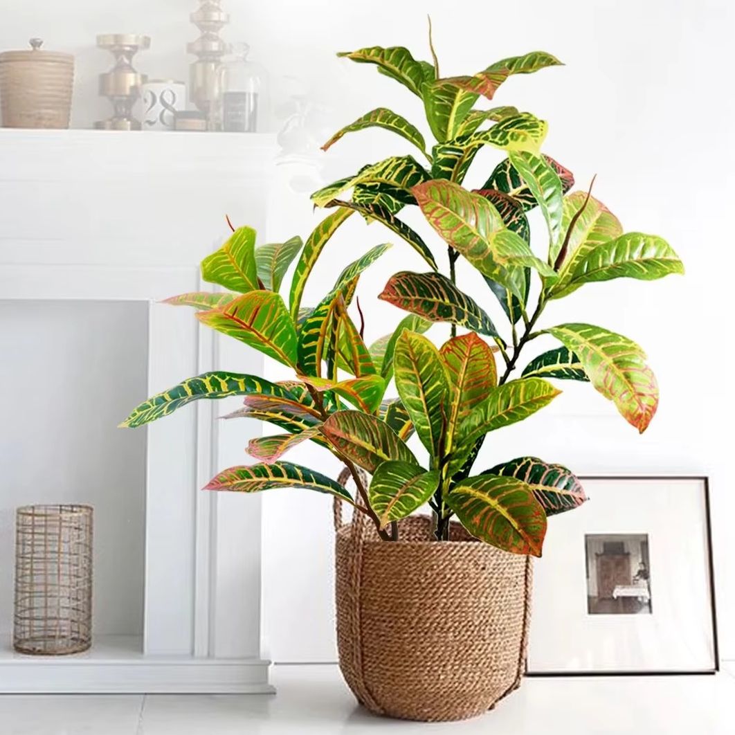 21–120 cm künstliche Pflanze,  – Dracaena Marginata Bewertung und Preis