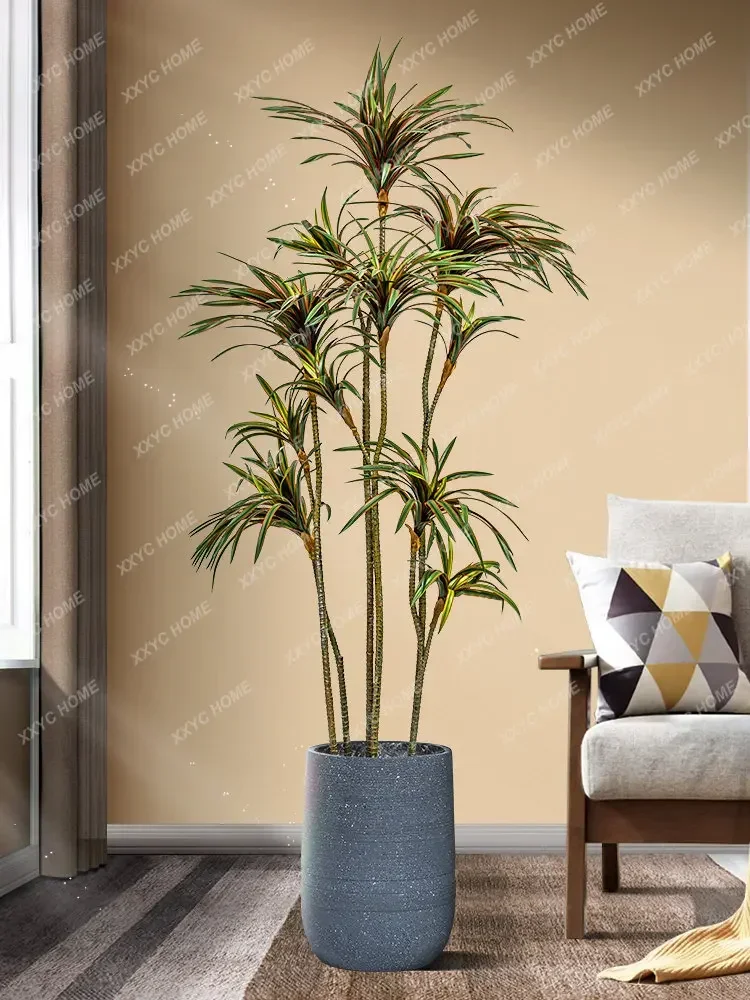 Simulierte Dracaena Dracaena M – Dracaena Marginata Bewertung und Preis