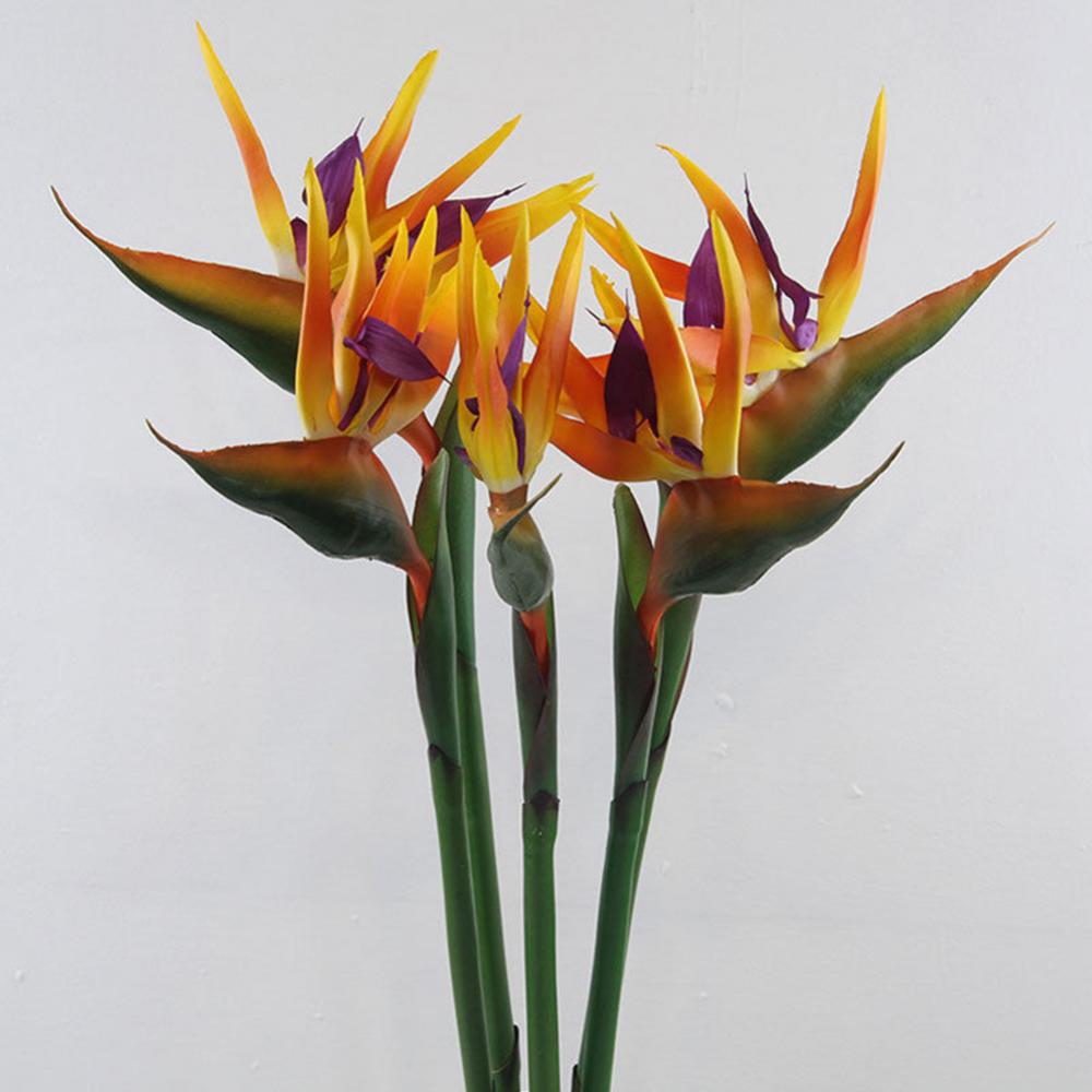 1pc 80cm Blume Paradiesvogel K – Bird Paradise Strelitzia Bewertung und Preis