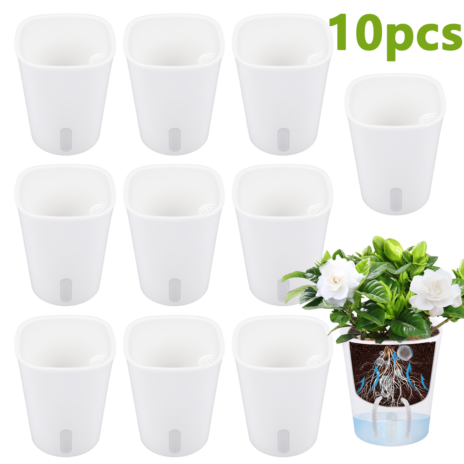 10 Stück selbstbewässernde Kun – Aloe Vera Pot Bewertung und Preis