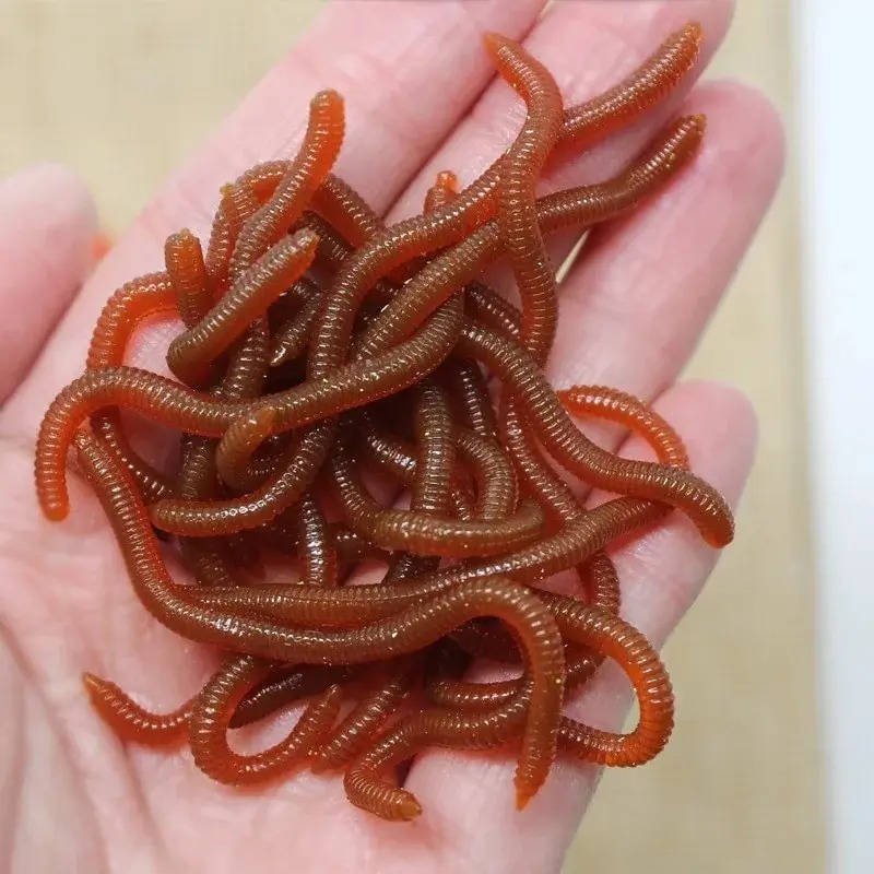Lebensechte Fischgeruch-Simula – Aglaonema Red Bewertung und Preis