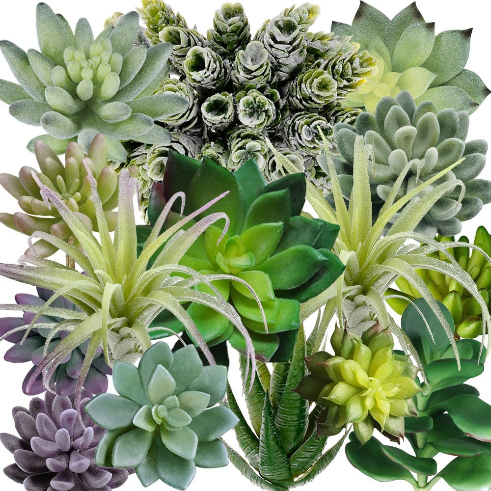 15er-Pack Sortierte Künstliche – Echeveria Succulent Bewertung und Preis