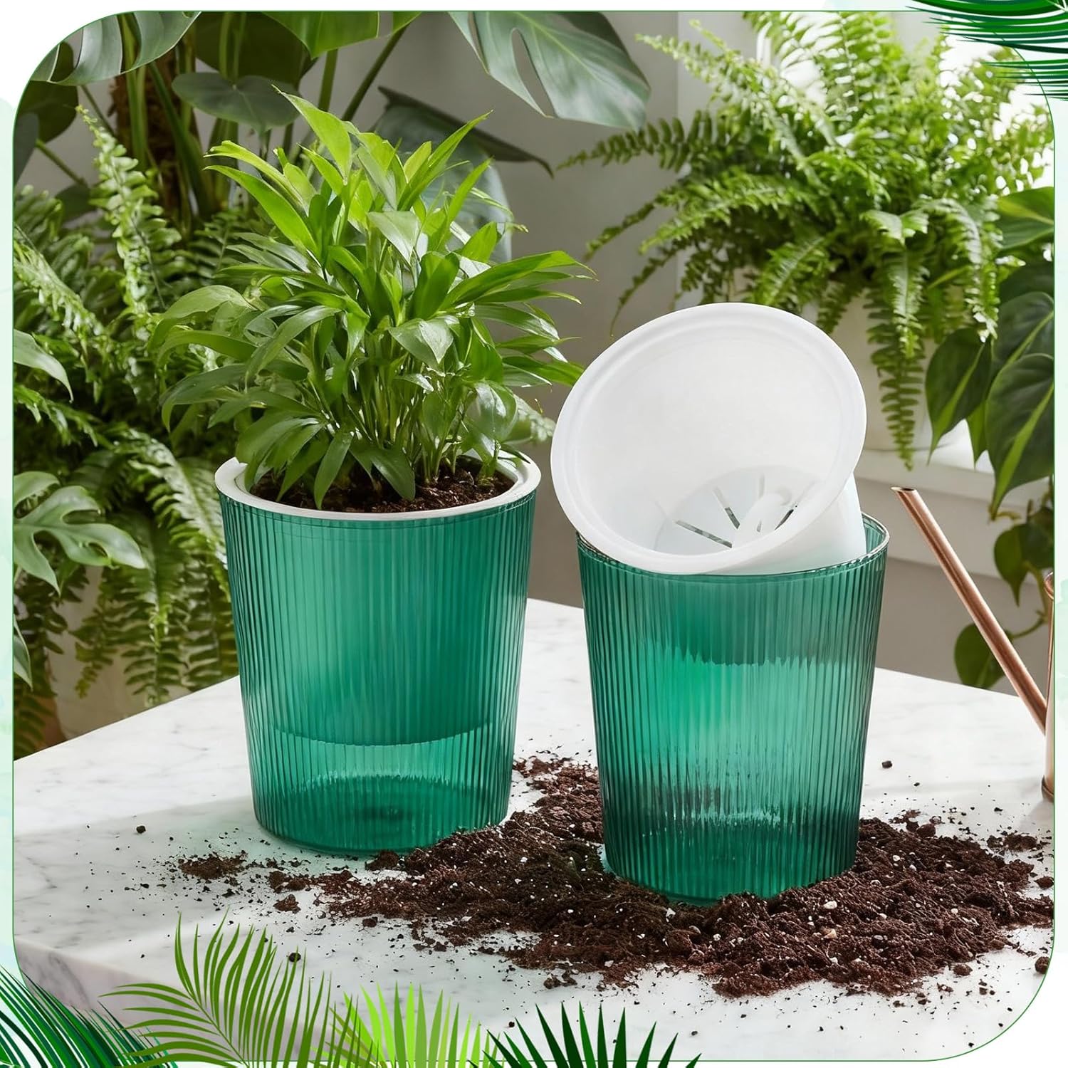 Transparente Selbstbewässernde – Aloe Vera Pot Bewertung und Preis