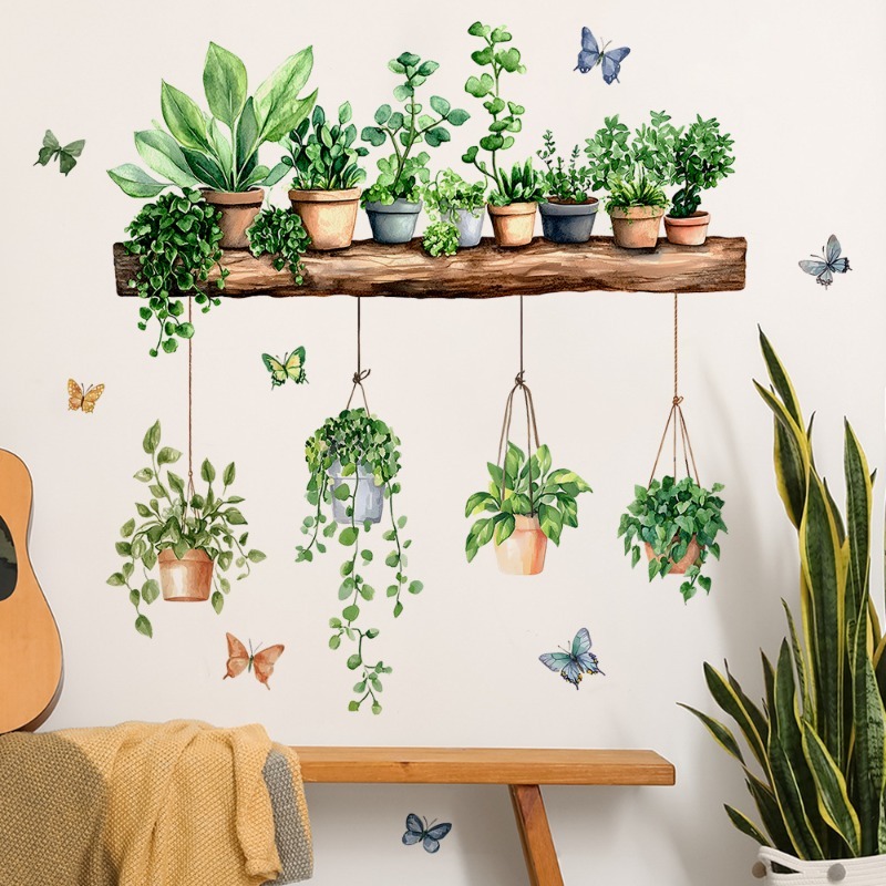 3D Wandtattoos mit grünen Pfla – Echeveria Succulent Bewertung und Preis