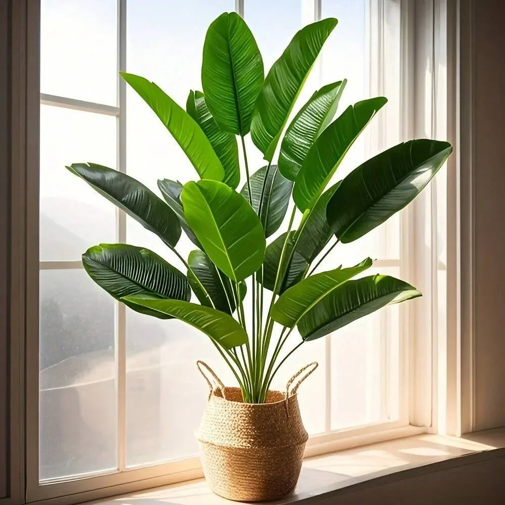 1 Stück 18 Blätter künstliche  – Dracaena Marginata Bewertung und Preis