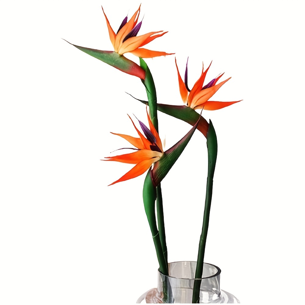3 stücke künstliche Paradies v – Bird Paradise Strelitzia Bewertung und Preis
