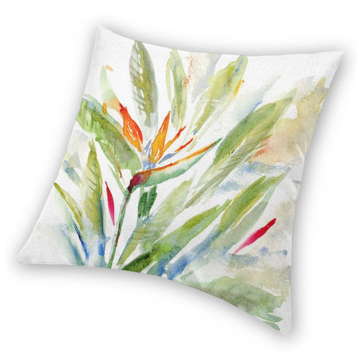 Bird Of Paradise Strelitzia Qu – Bird Paradise Strelitzia Bewertung und Preis